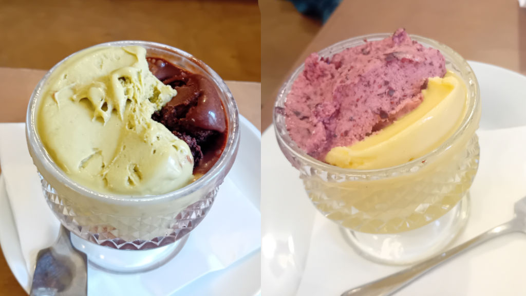 Some of our sorbet choices